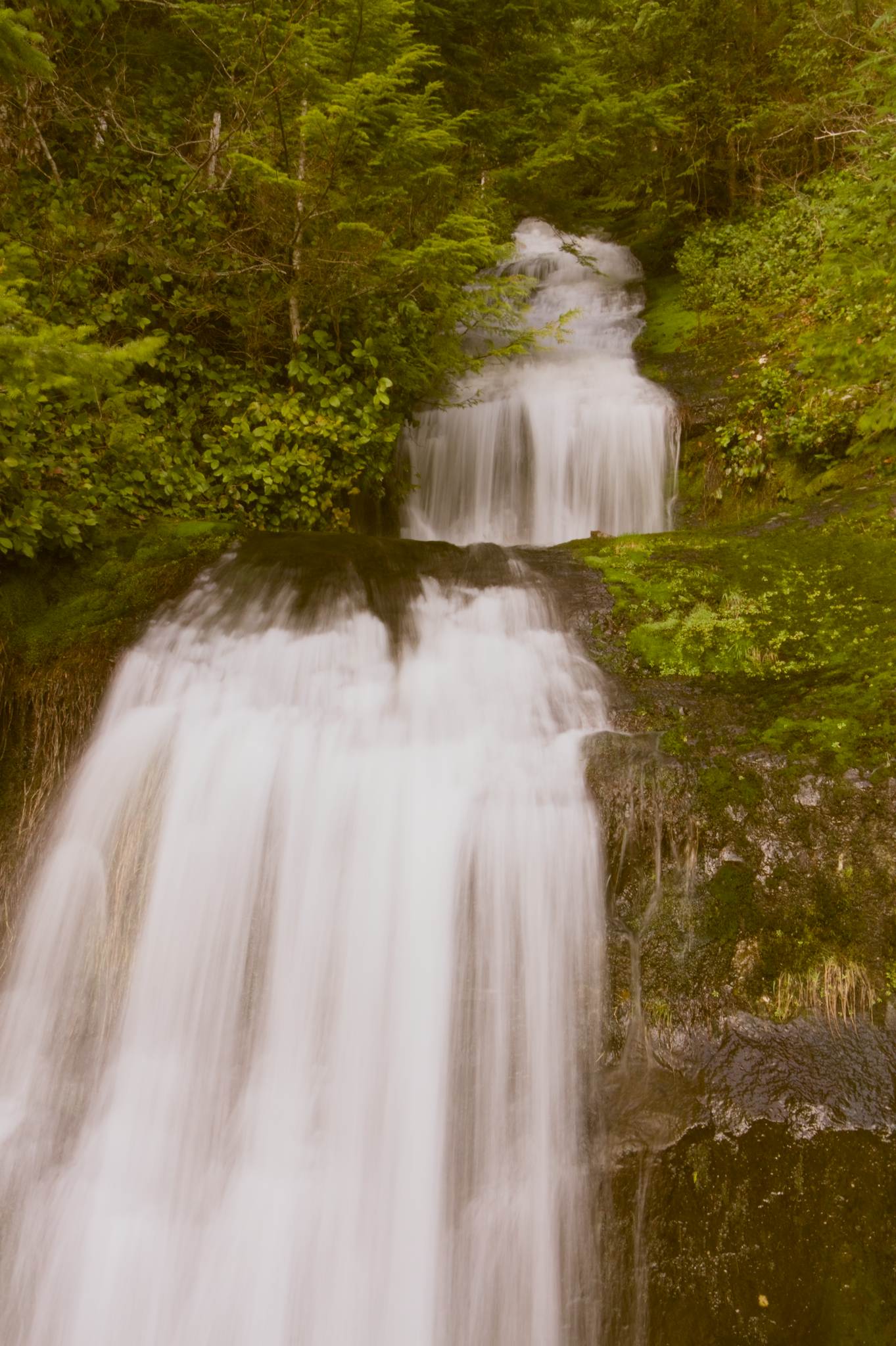 Parker Creek Falls | Marys Peak - Photography by Gabe Murk